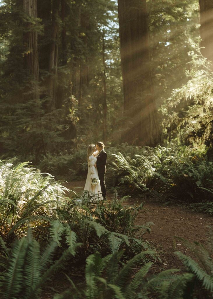 couple walking in the California redwoods for their luxury elopement 