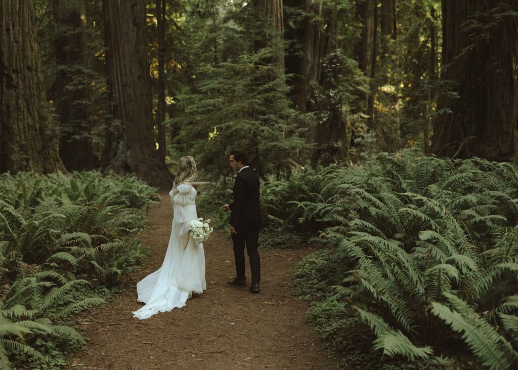couple walking in the California redwoods for their luxury elopement 