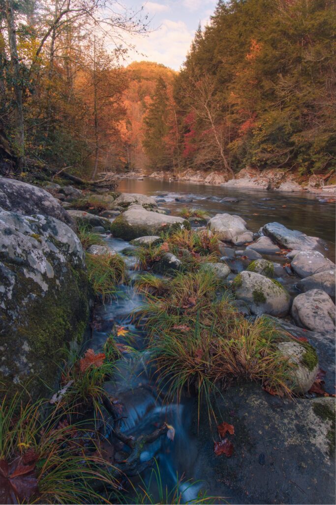 greenbrier cove in great smoky mountains national park 