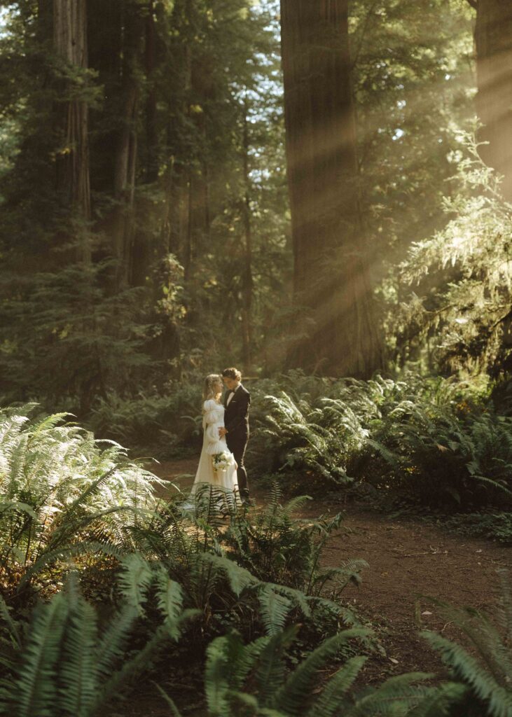 bride and groom taking photos in the redwoods at their elopement 
