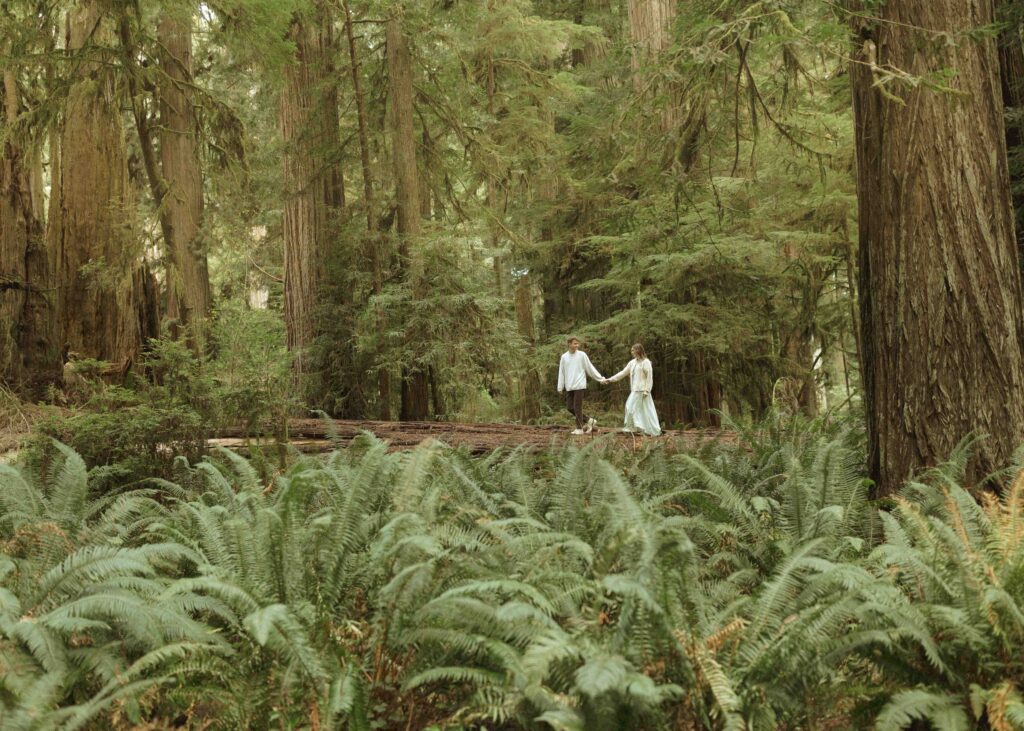 couple walking on a log during their redwoods engagement photos 