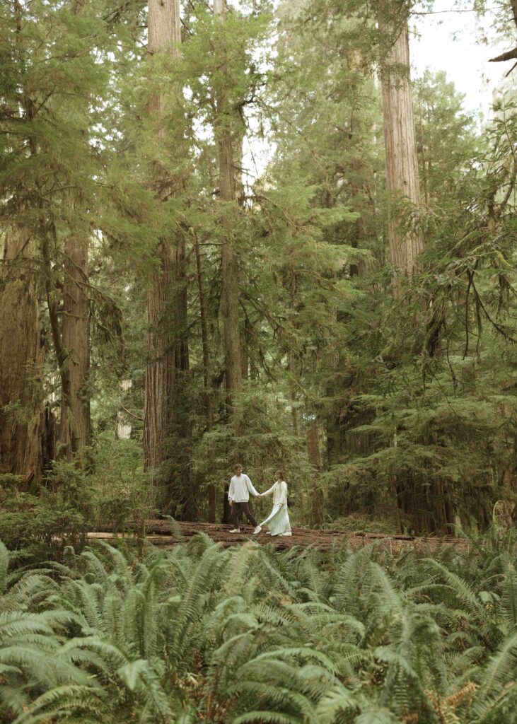 couple walking a log during their redwoods engagement photos 