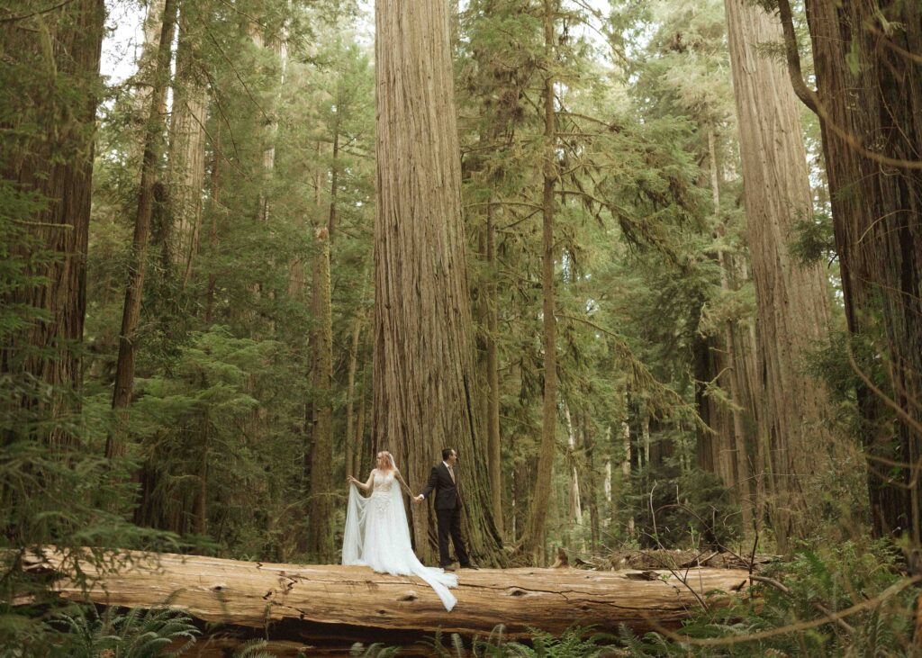 bride and groom taking wedding photos for their forest elopement 