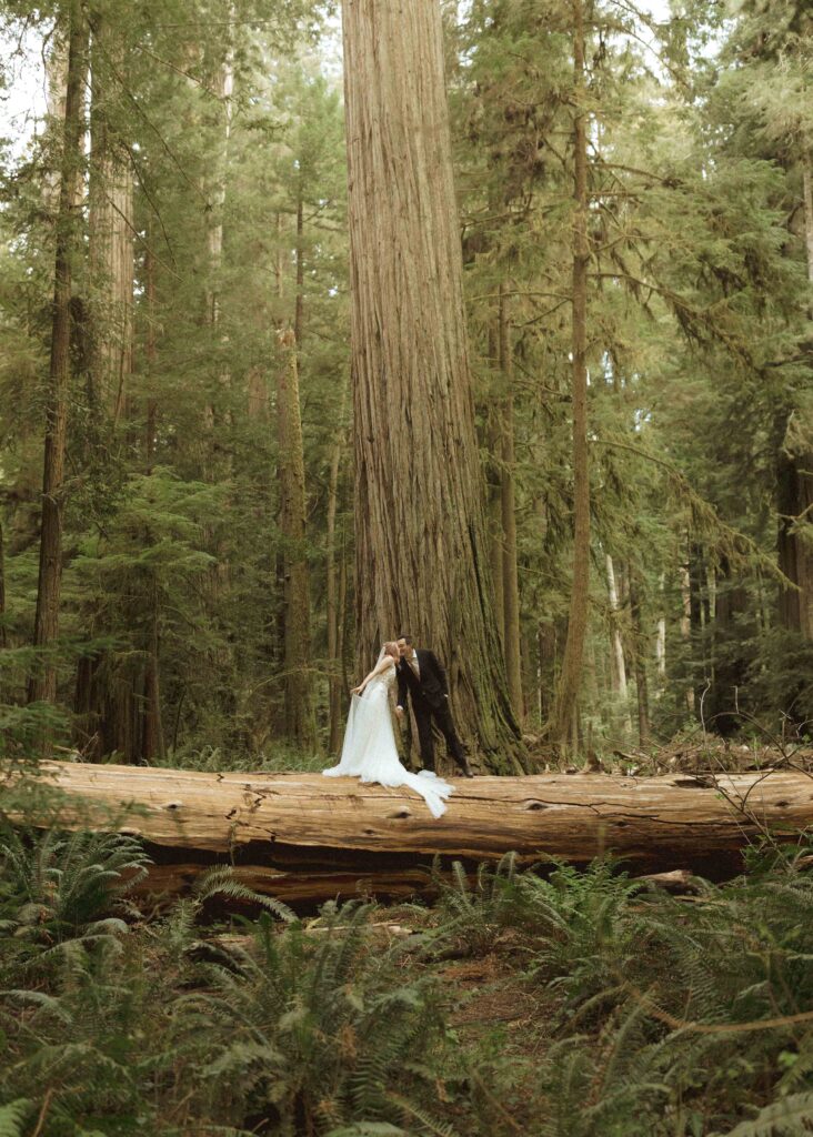 bride and groom taking wedding photos for their forest elopement 