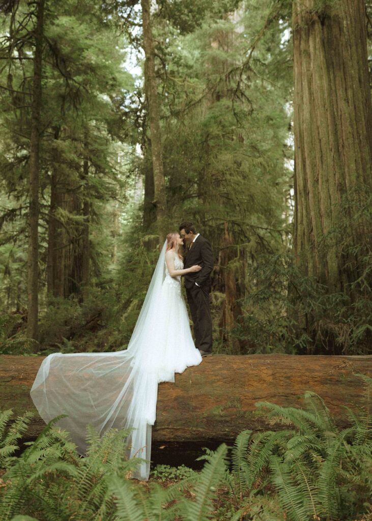 bride and groom taking wedding photos for their forest elopement 