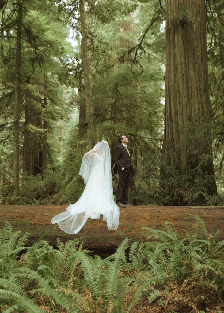 bride and groom taking wedding photos for their forest elopement 