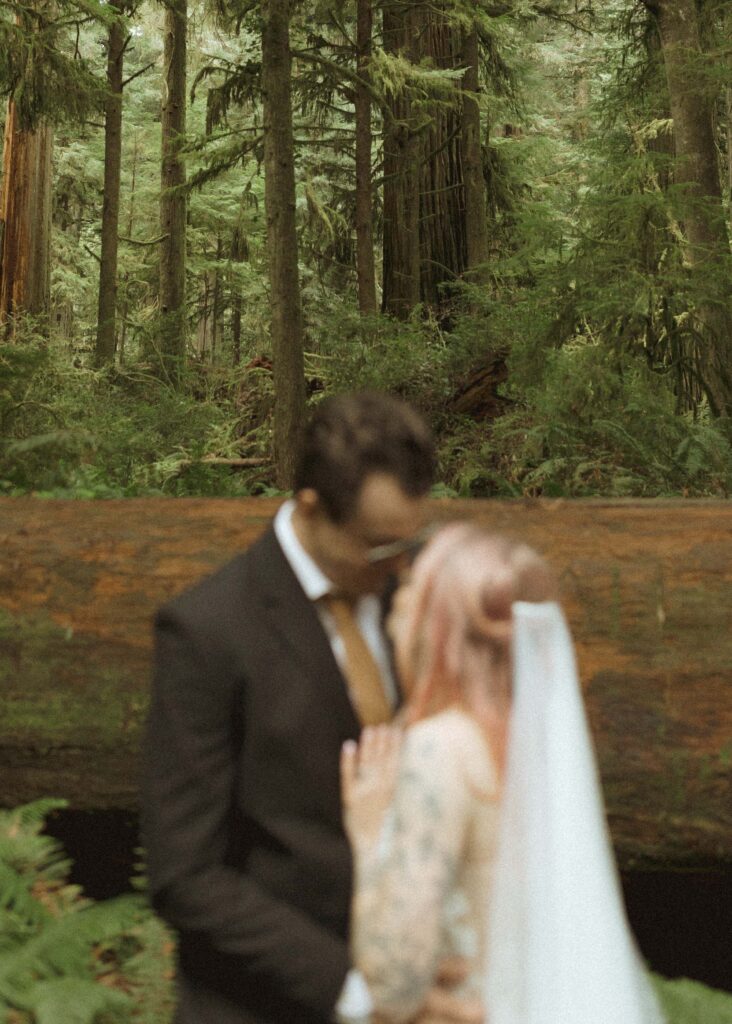 bride and groom taking wedding photos for their forest elopement 