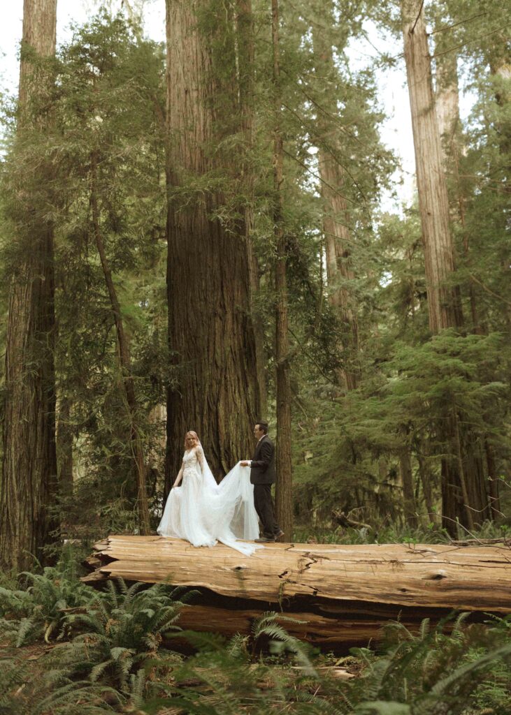 bride and groom walking for their forest elopement 