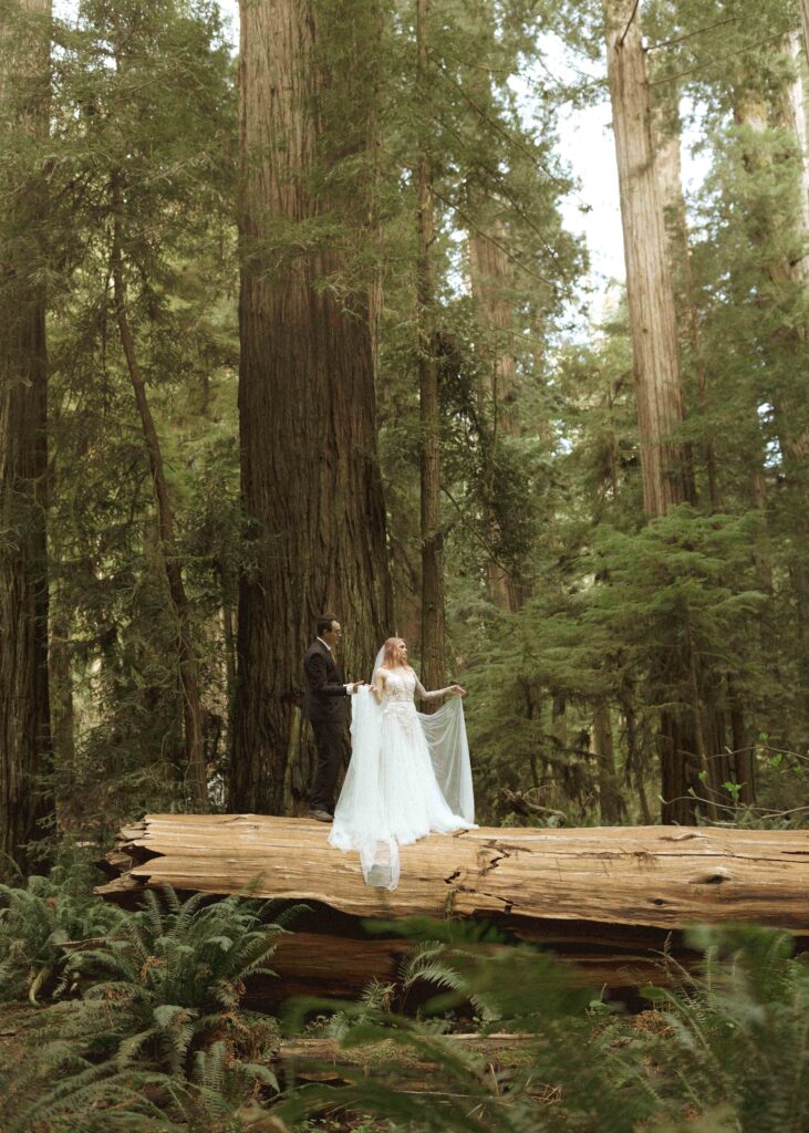 bride and groom taking wedding photos for their forest elopement 