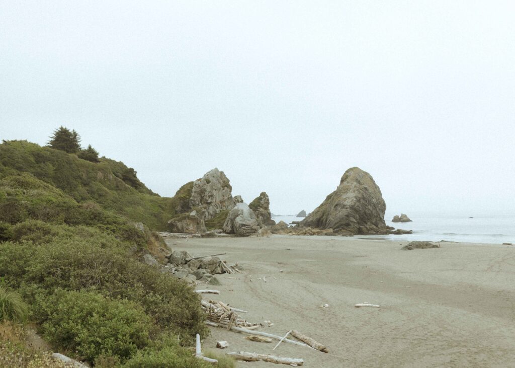 harris beach in southern oregon 