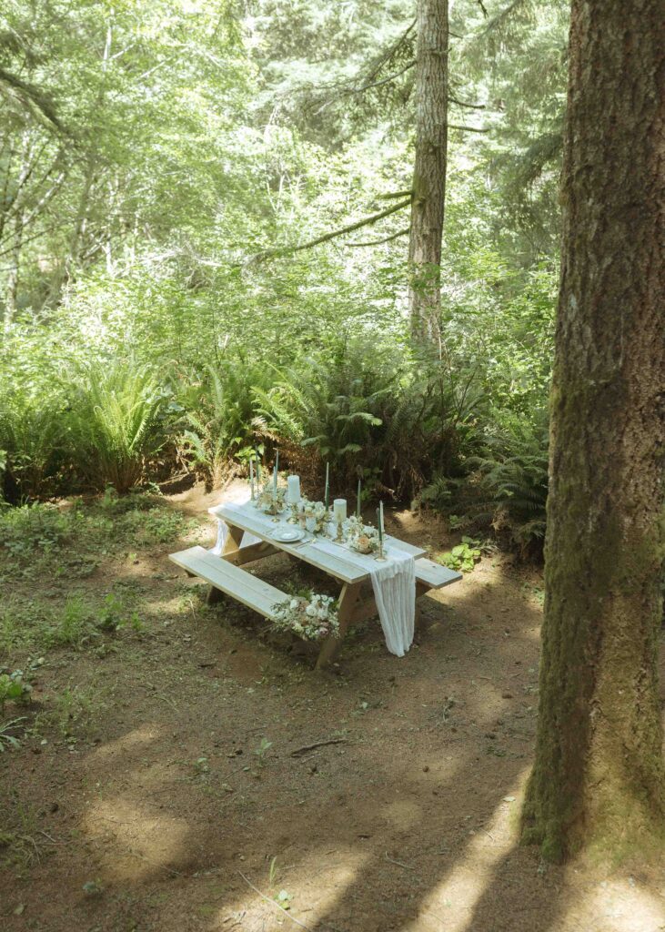 couple having a picnic for their Redwoods Oregon elopement 