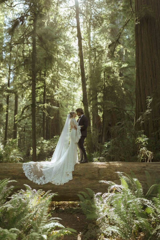 couple taking photos in the Redwoods for their Redwoods Oregon elopement 