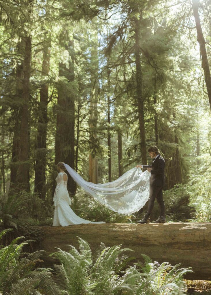 couple taking photos in the Redwoods for their Redwoods Oregon elopement 