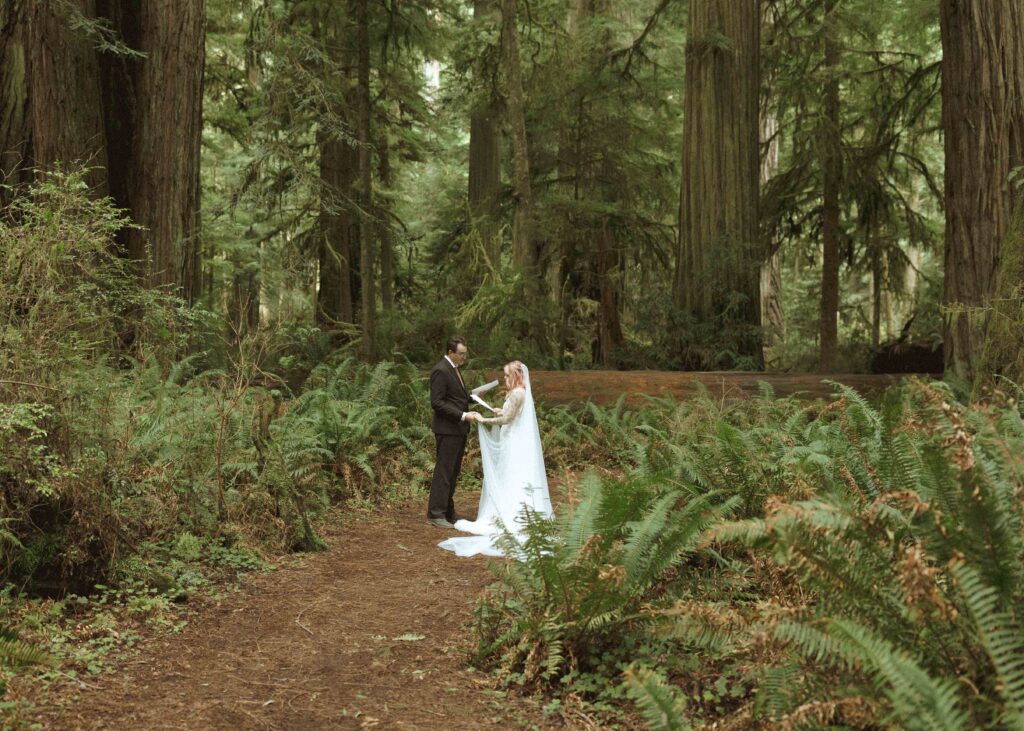 couple reading their vows to legally get married in the redwoods