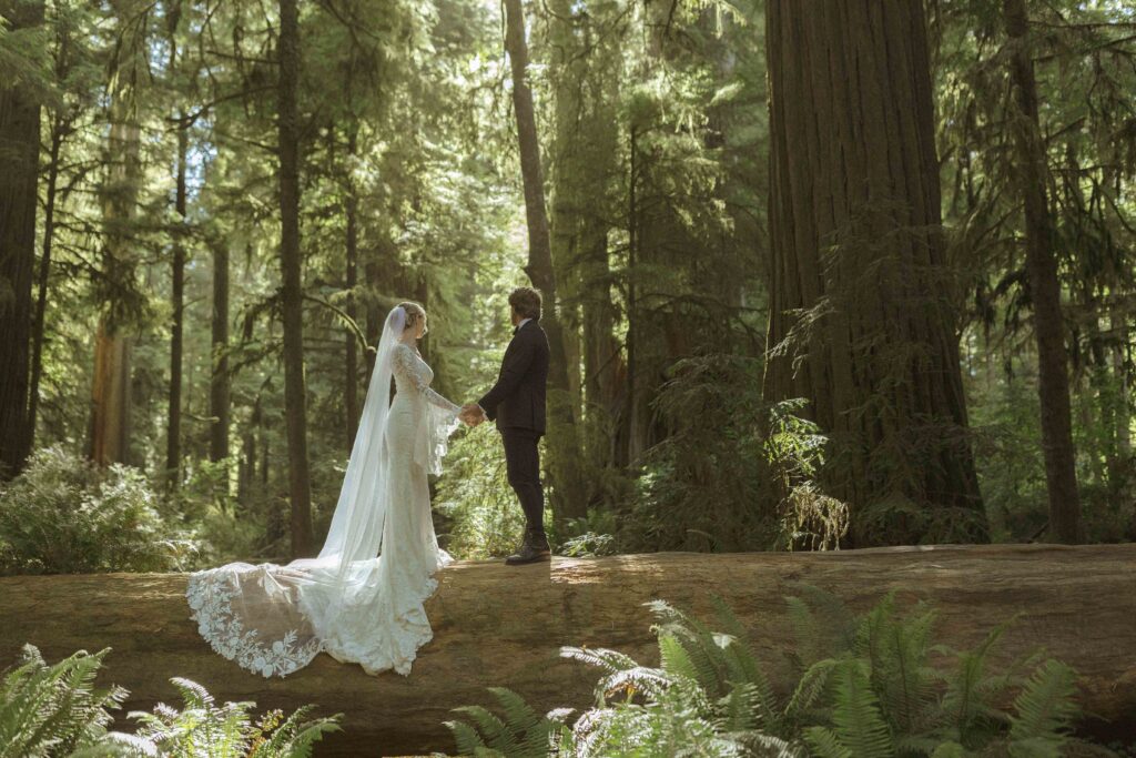 couple eloping in the redwoods 