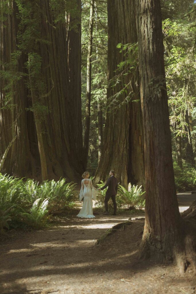 couple eloping in the redwoods 