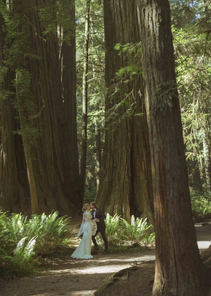 couple eloping in the redwoods 