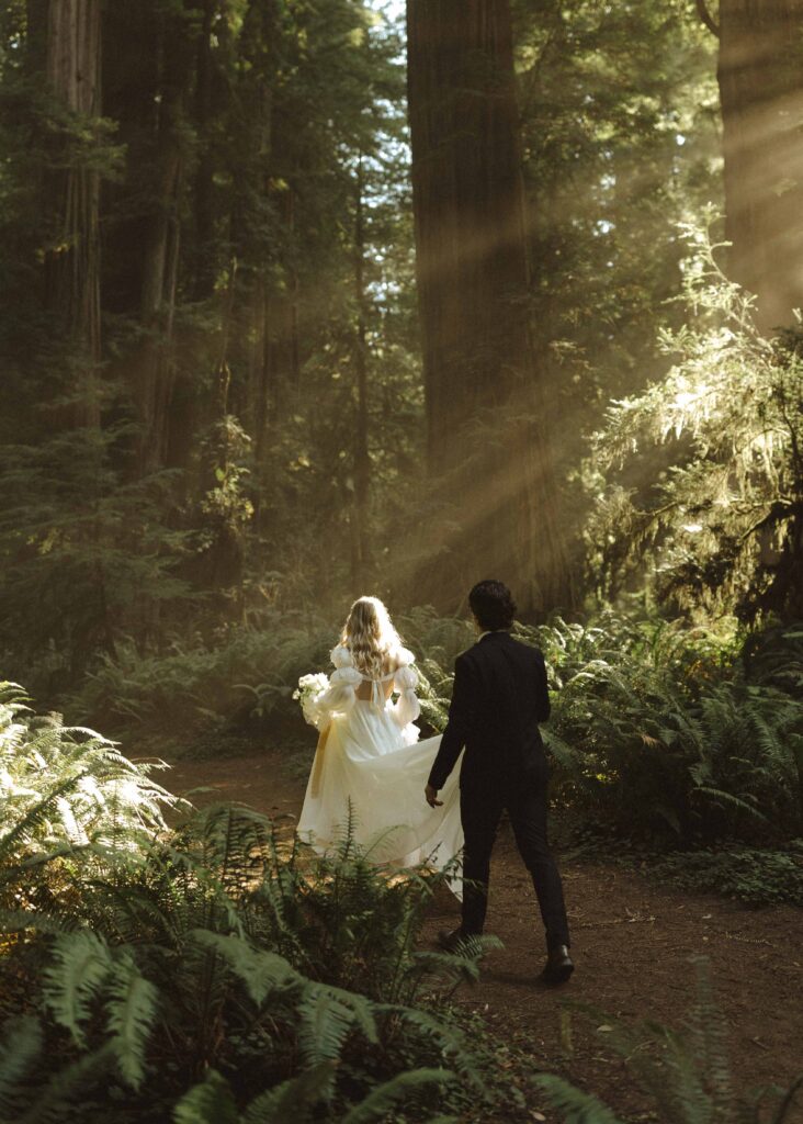 couple eloping in the redwoods 