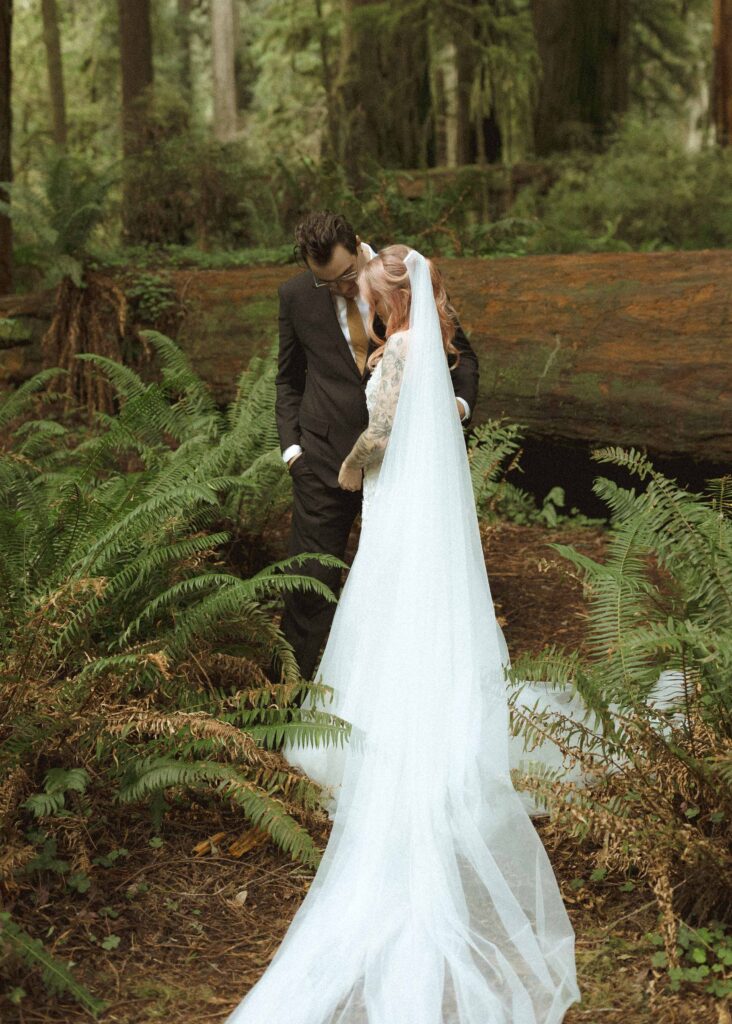 couple eloping in the redwoods 