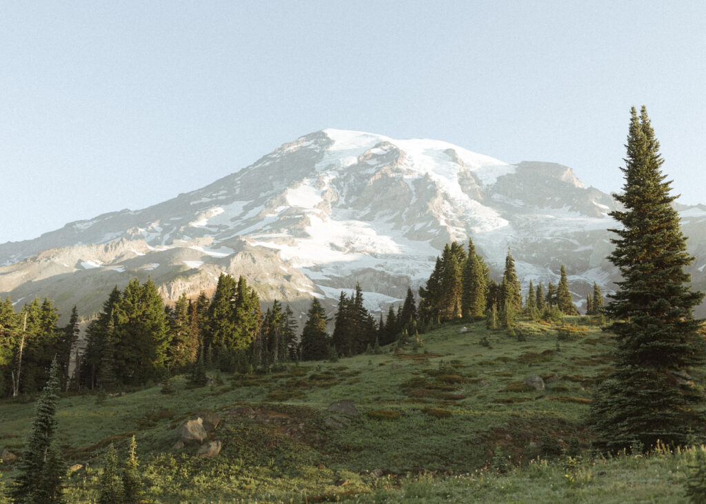 skyline trail in Mt. Rainier National Park 