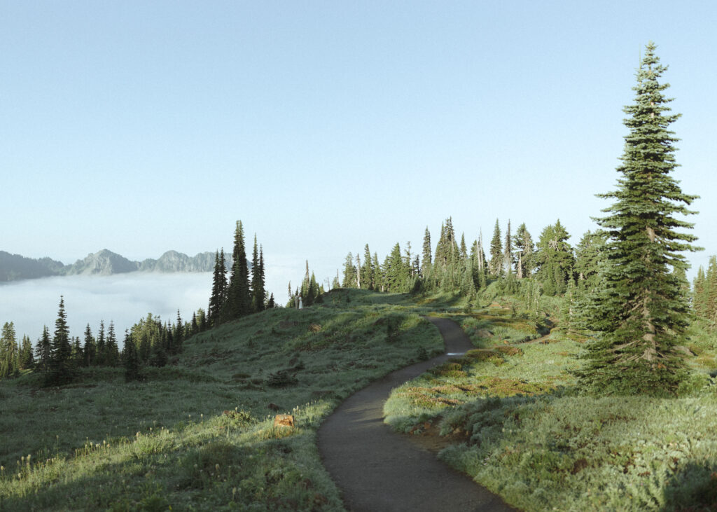 bride and groom walking on the trail for their skyline trail elopement 