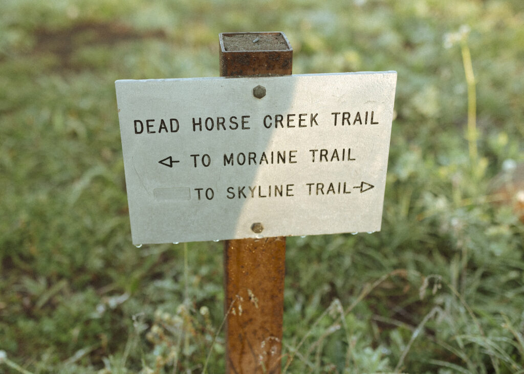 skyline trail in Mt. Rainier National Park 