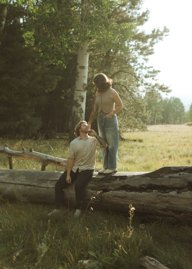 couple sitting on a log for their flagstaff engagement photos