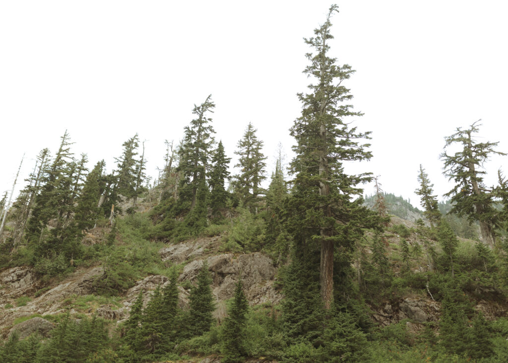 mount baker in Washington