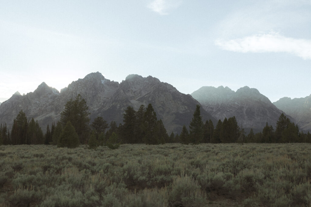 view of Grand Teton National Park 