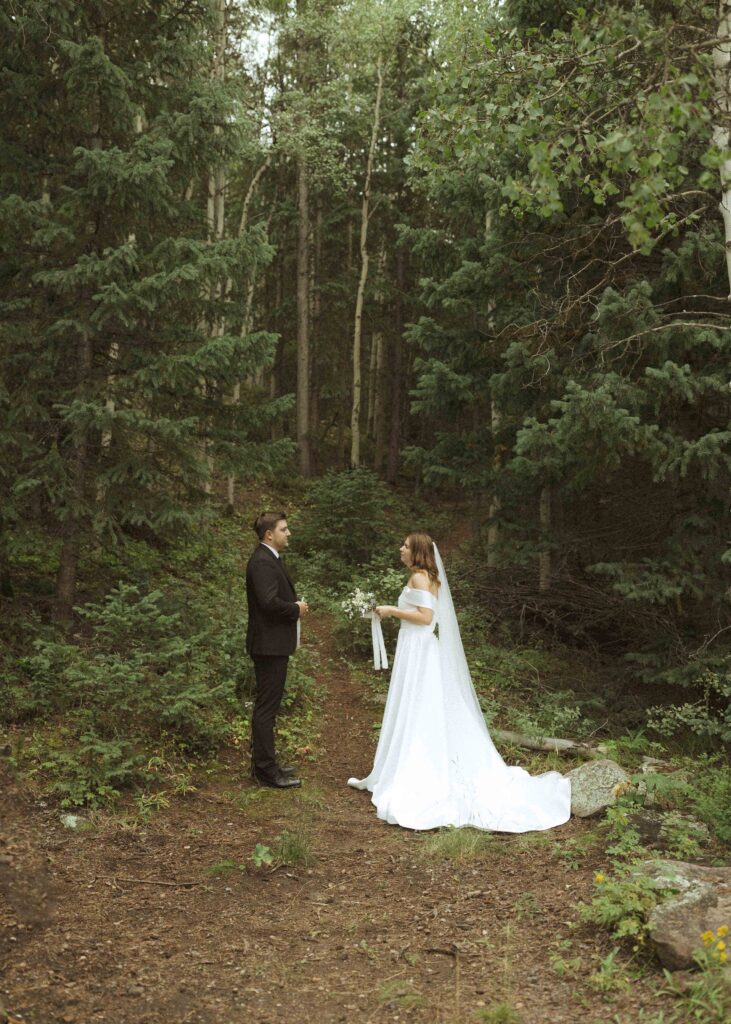 bride and groom reading vows for their mountain wedding 