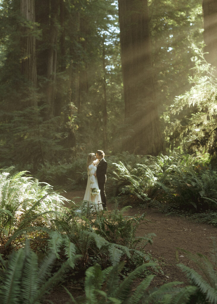 couple taking their elopement photos in the redwoods