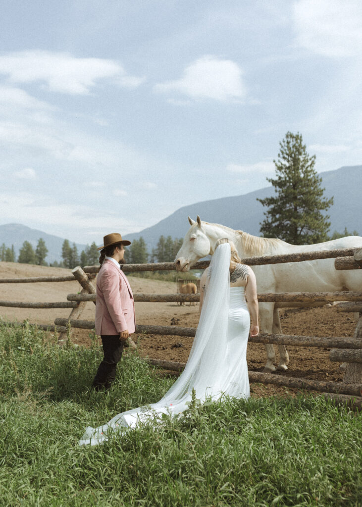 couple taking photos with the horses for their logan pass elopement