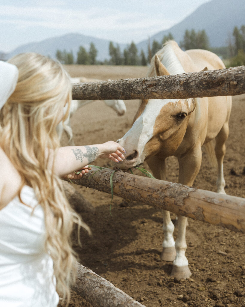 couple taking photos with the horses for their logan pass elopement