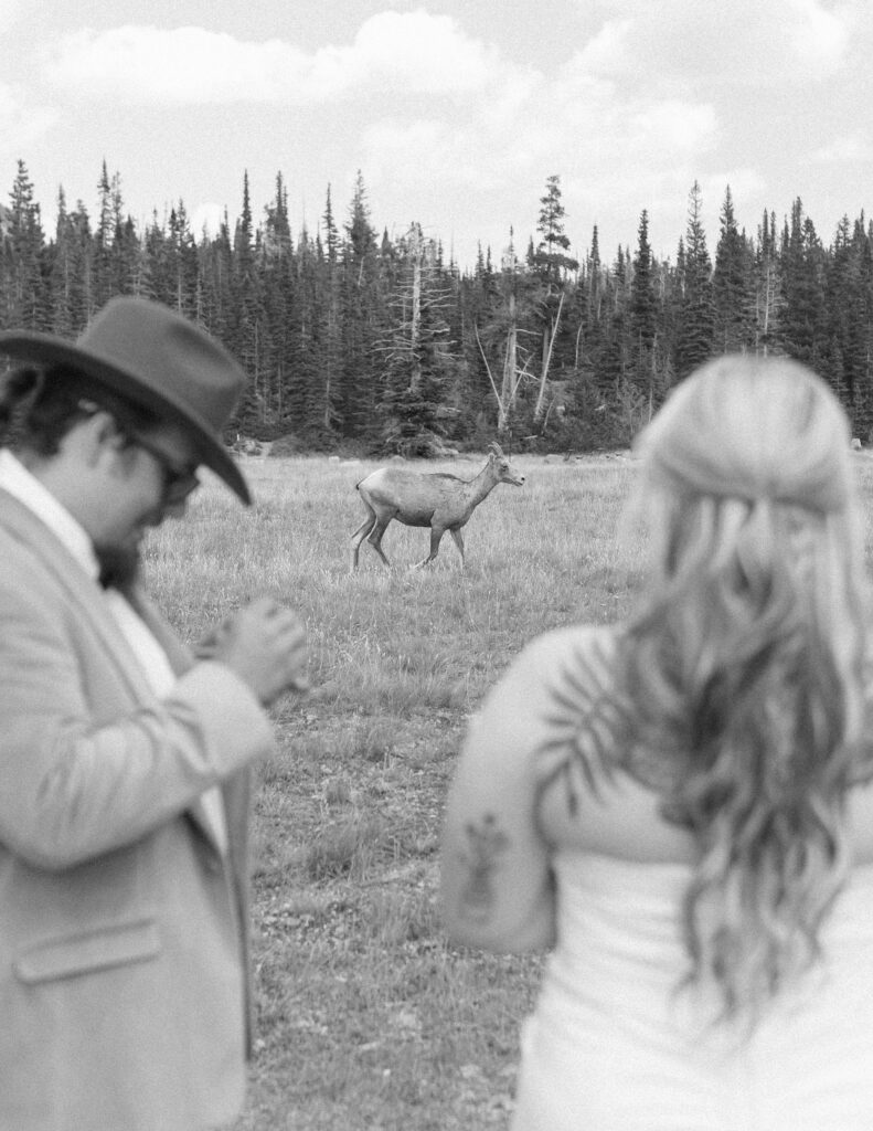 couple taking photos at a lake before their logan pass elopement