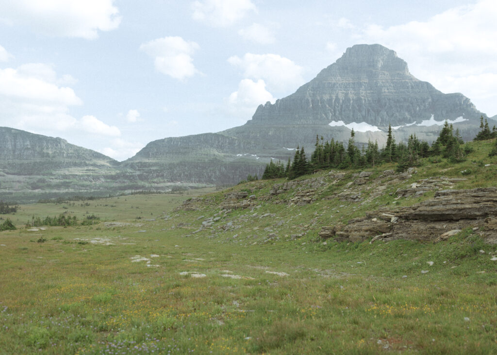 logan pass glacier national park