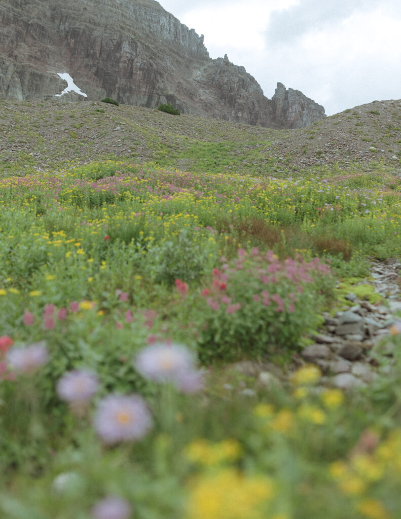 logan pass glacier national park