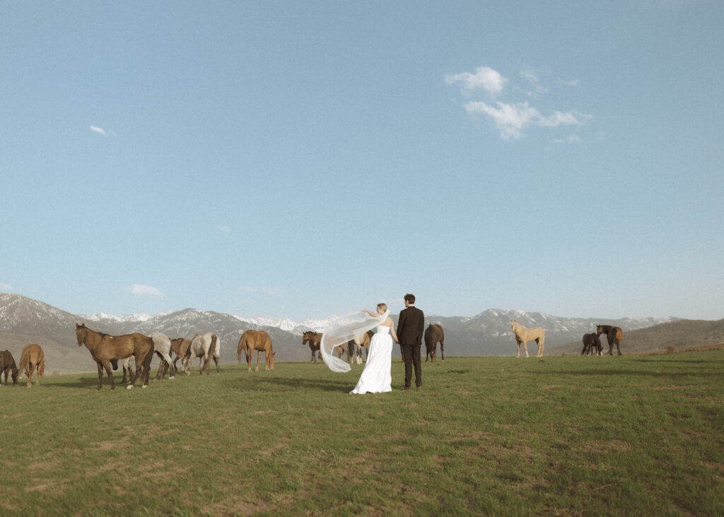 couple taking photos with horses for their Wyoming horse elopement