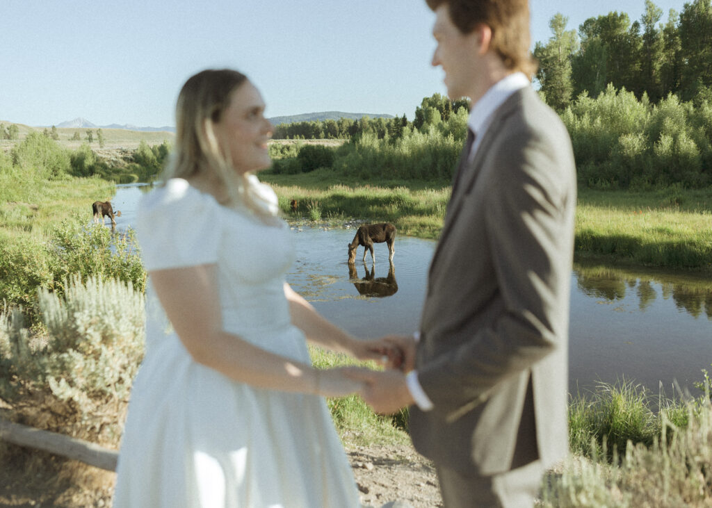 bride and groom taking wedding photos with moose in the background
